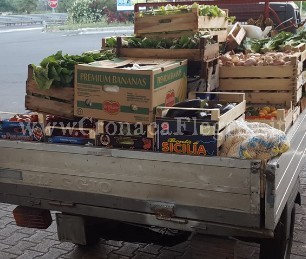 Da Napoli a Pozzuoli per vendere frutta al Rione Toiano: denunciati padre e figlio