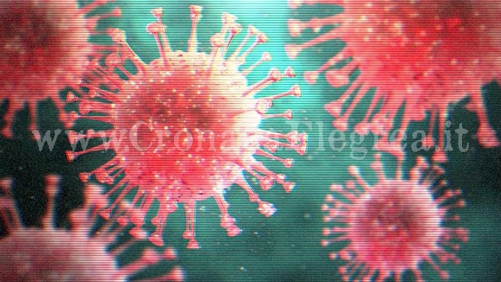 Coronavirus, dopo 48 ore non ci sono nuovi contagiati a Pozzuoli