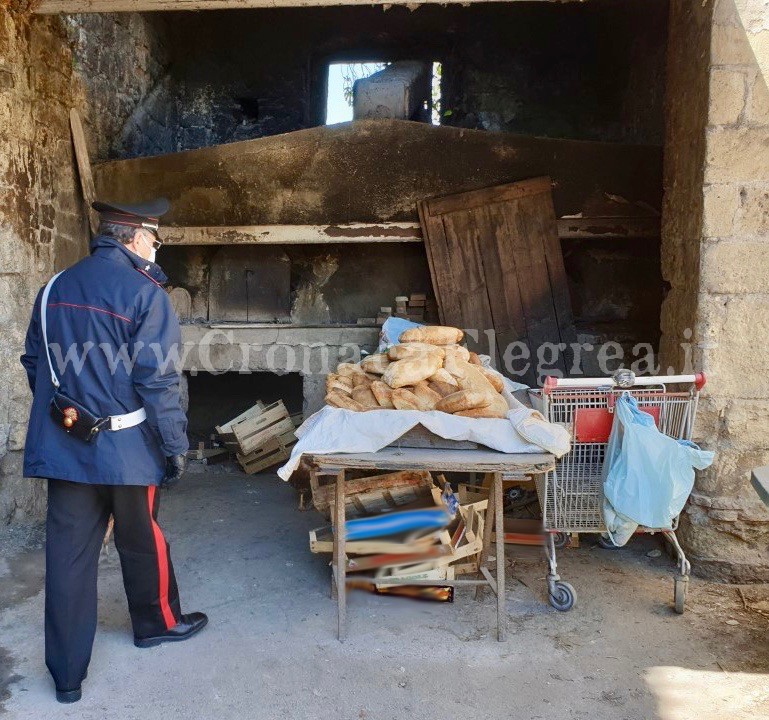 Panificio abusivo in una vecchia masseria, nei guai fratello e sorella