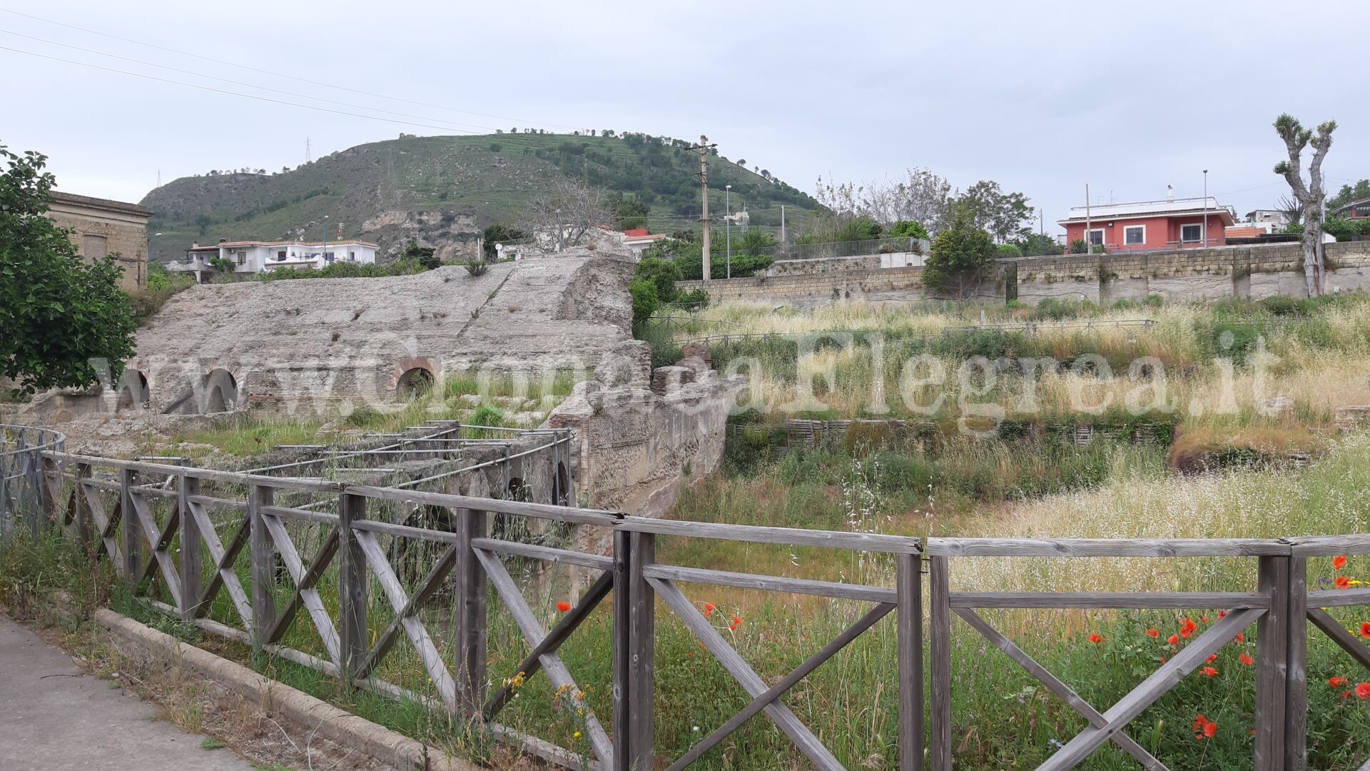 POZZUOLI/ Erbacce e topi: lo Stadio di Antonino Pio è una giungla – LE FOTO