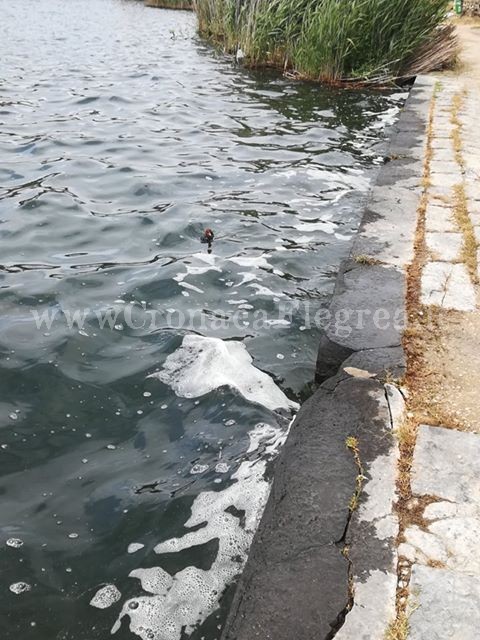 SOS dal Lago d’Averno «C’è schiuma nell’acqua» – LE FOTO