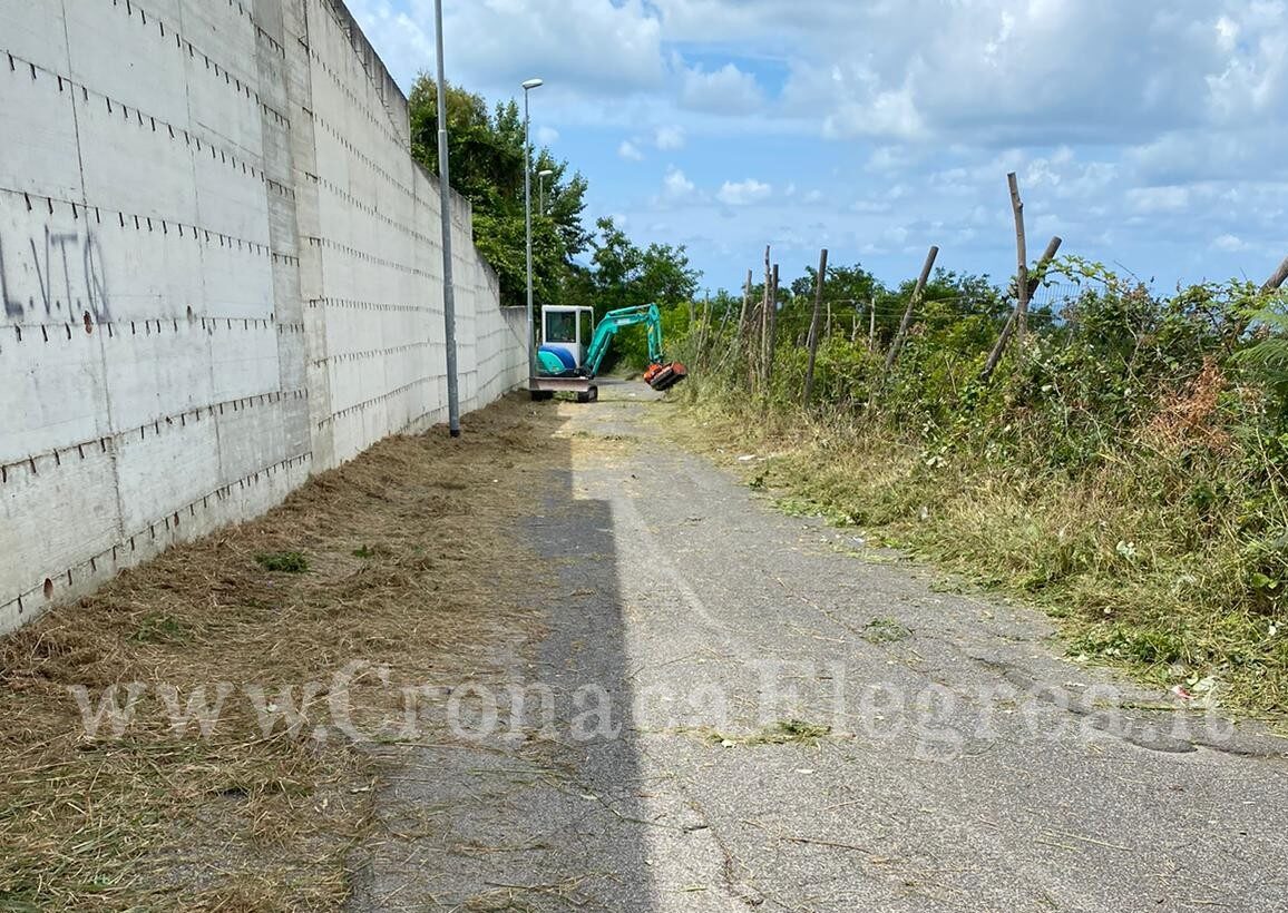 Cronaca Flegrea chiama e l’assessore risponde: dopo 3 anni ripulita via Trepiccioni – LE FOTO