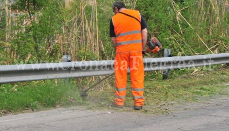 BACOLI/ Reddito di cittadinanza, i percettori lavoreranno per il Comune