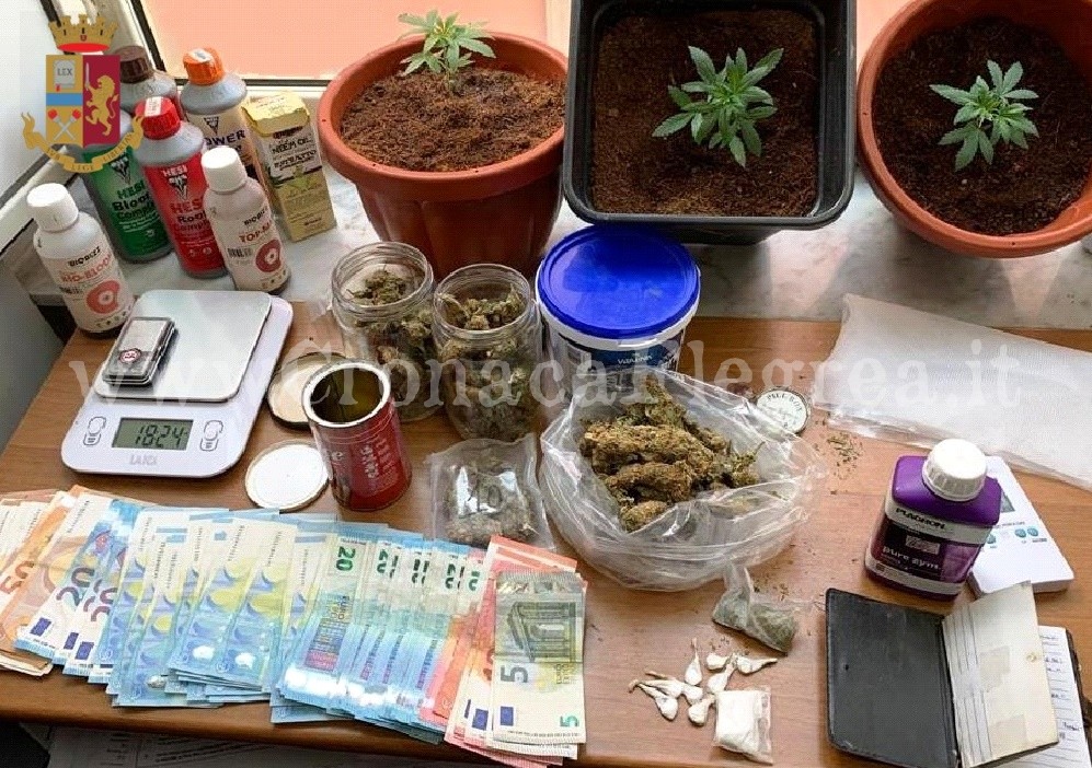 Coltiva piante di marijuana in casa: arrestato 23enne
