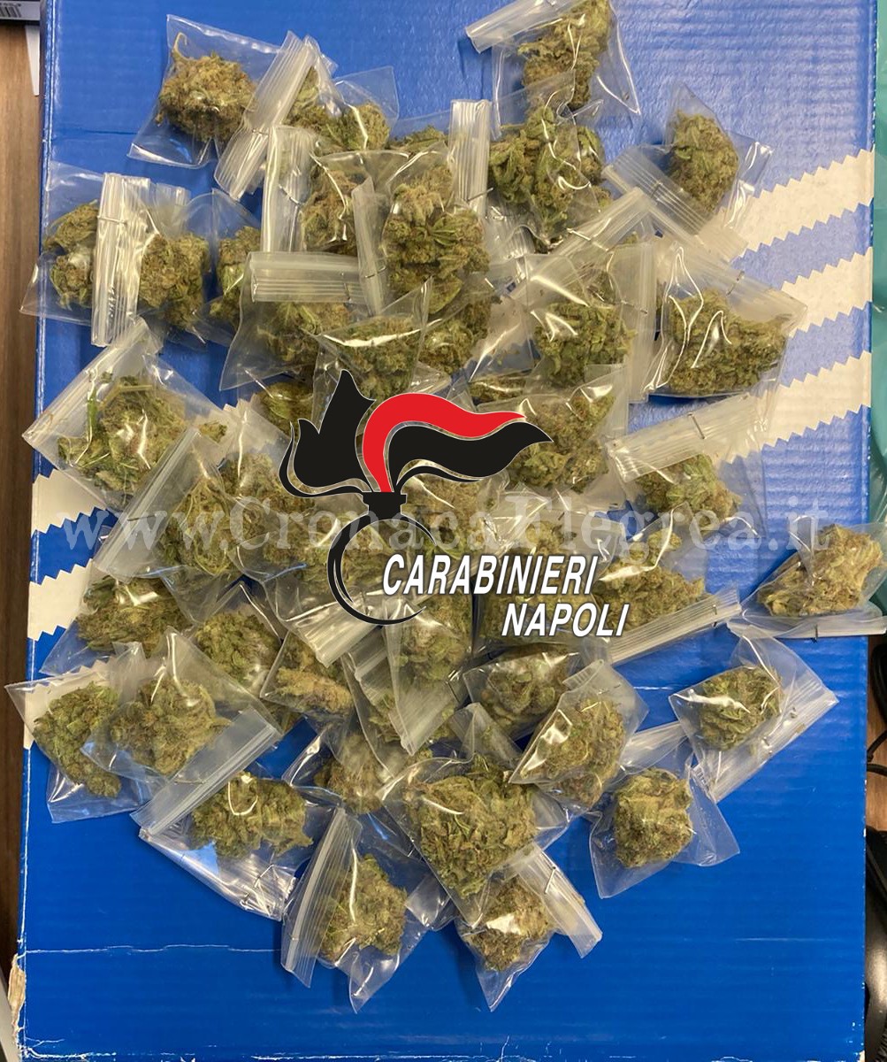 Marijuana nel box auto: 20enne arrestato dai carabinieri