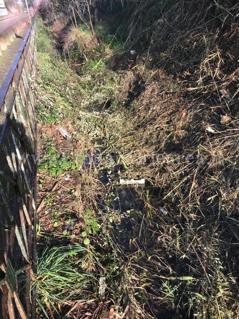 «Ecco come hanno pulito il canale del Lago d’Averno. Uno schifo!»