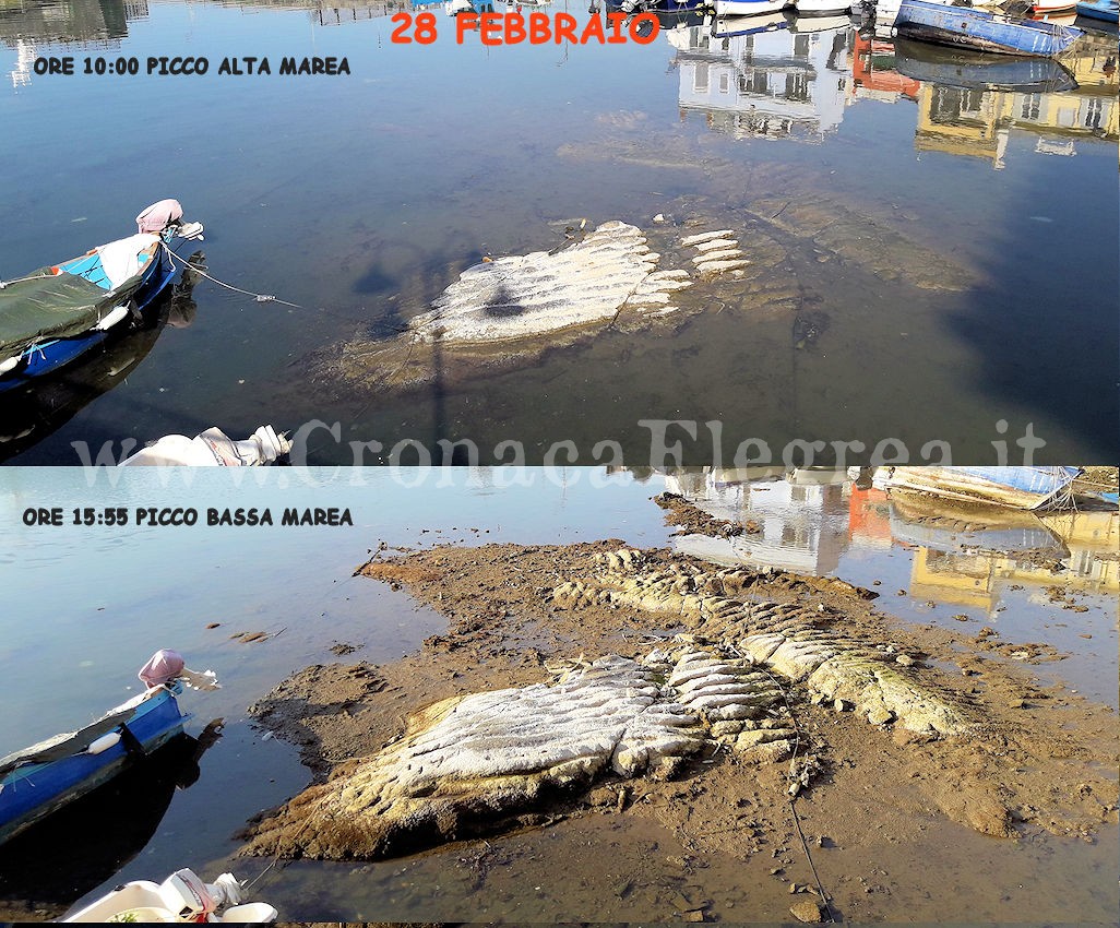 Bradisismo, bassa marea e mancata manutenzione prosciugano la Darsena di Pozzuoli – LE FOTO