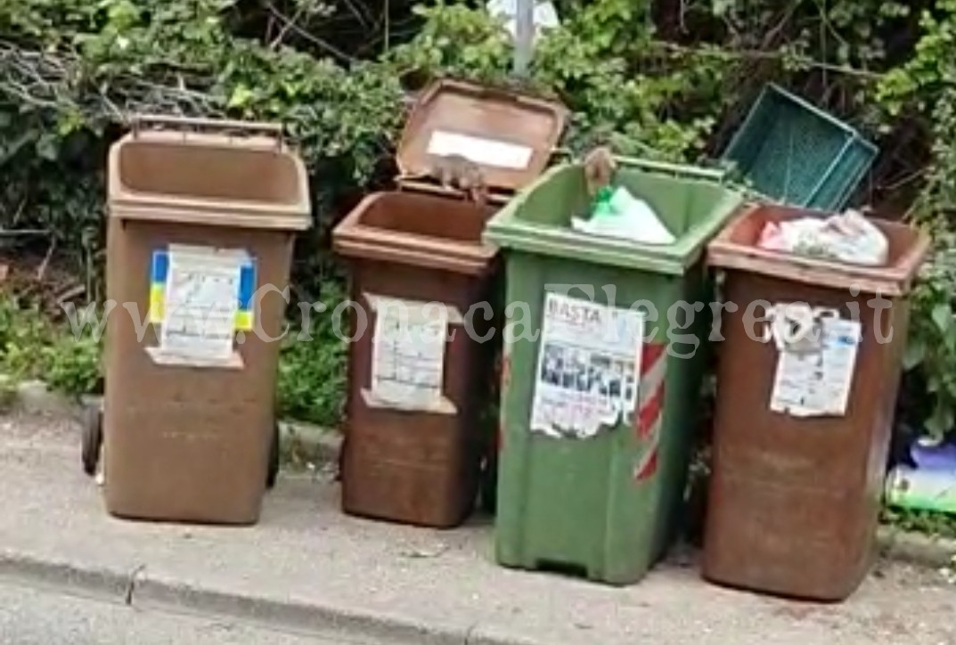 POZZUOLI/ «A Monterusciello siamo invasi dai topi» – IL VIDEO