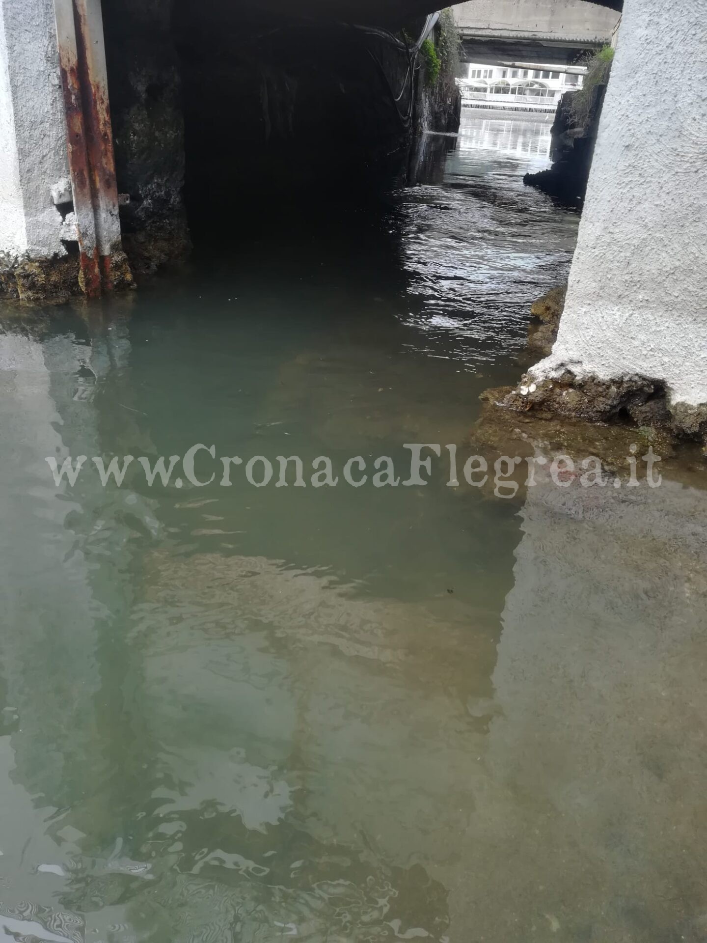 POZZUOLI/ Lago Lucrino, disastro senza fine: la fogna continua a scaricare – LE FOTO