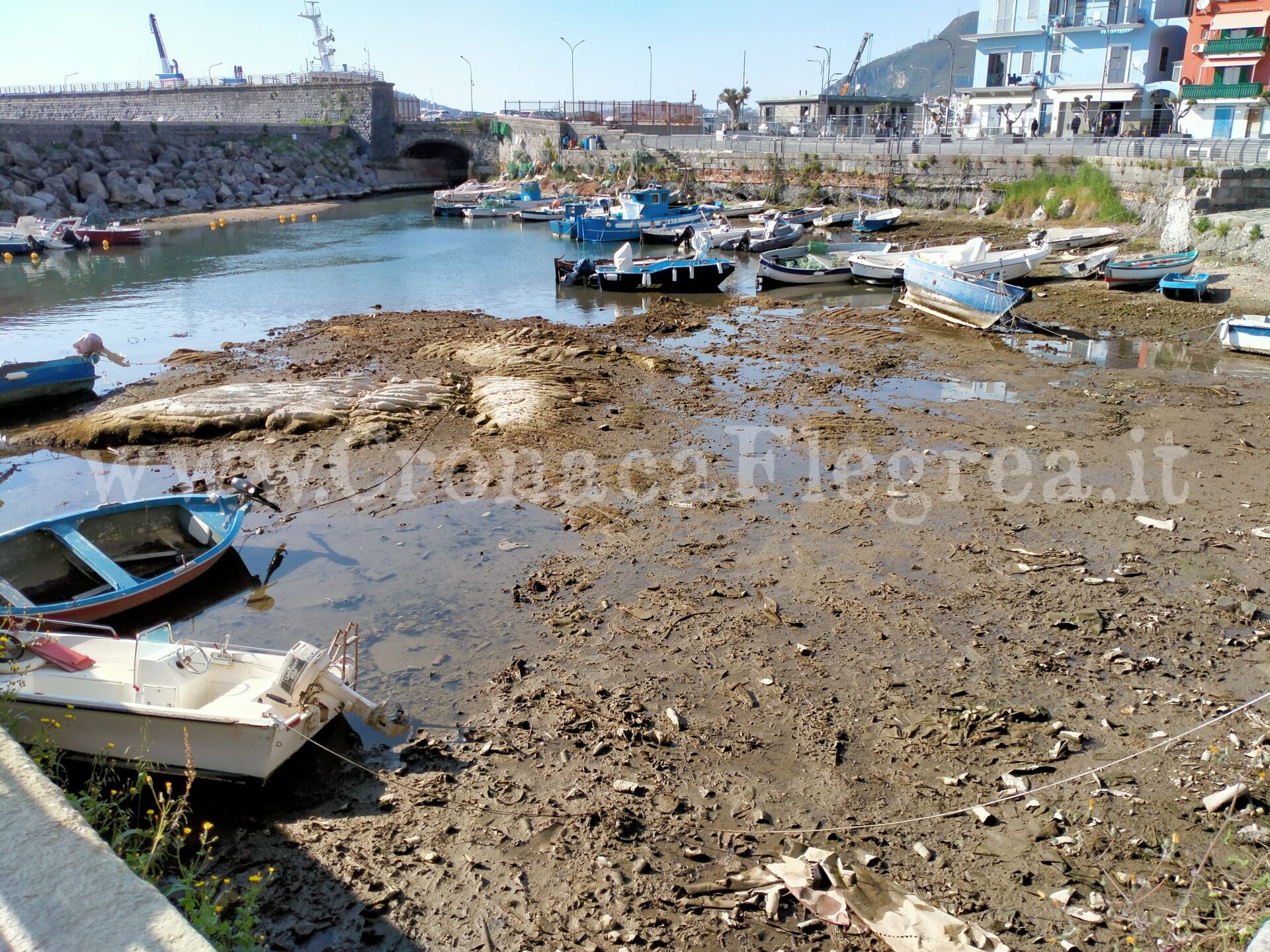 Bradisismo e bassa marea: Darsena prosciugata e secca nella rada del porto di Pozzuoli – LE FOTO