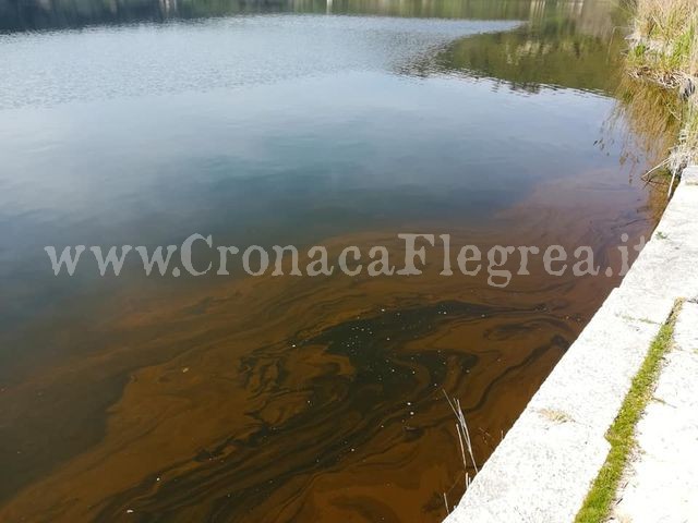 Il Lago d’Averno si colora di ruggine – LE FOTO