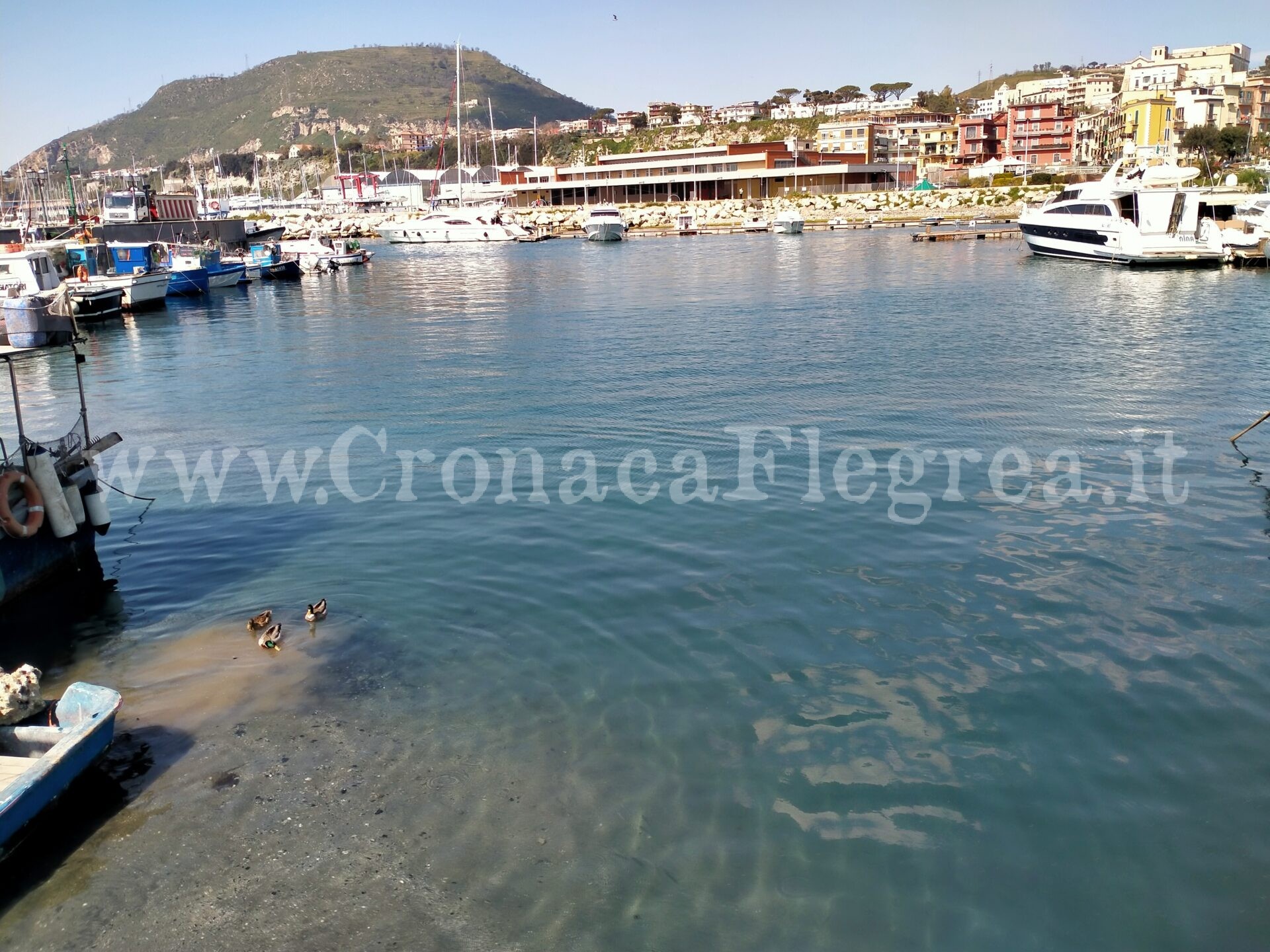 Sciame sismico a Pozzuoli, scossa in mare di magnitudo 2.5