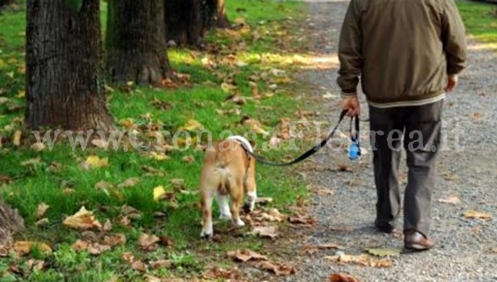 POZZUOLI/ Parte la campagna “Adotta un cane del canile”