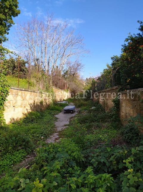 «Da via delle Selvette a via Fascione solo vegetazione incolta e rifiuti ingombranti»