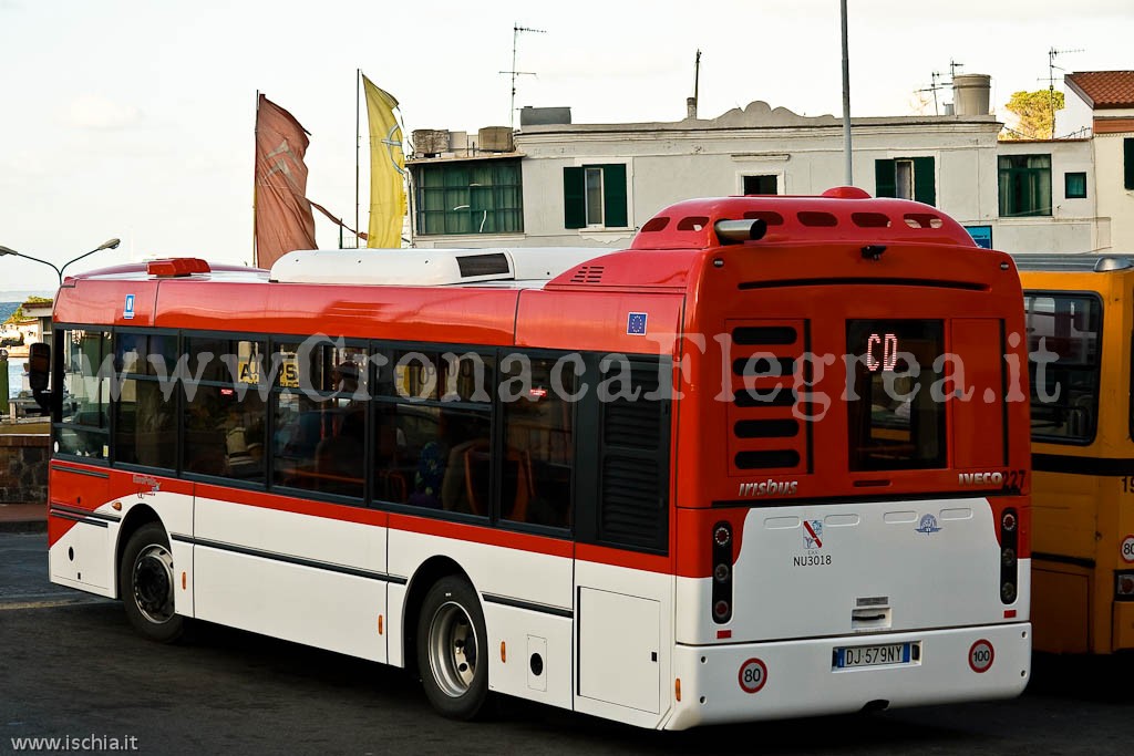 Inciampa e non chiede scusa, scoppia lite sull’autobus: 3 feriti e 6 denunciati