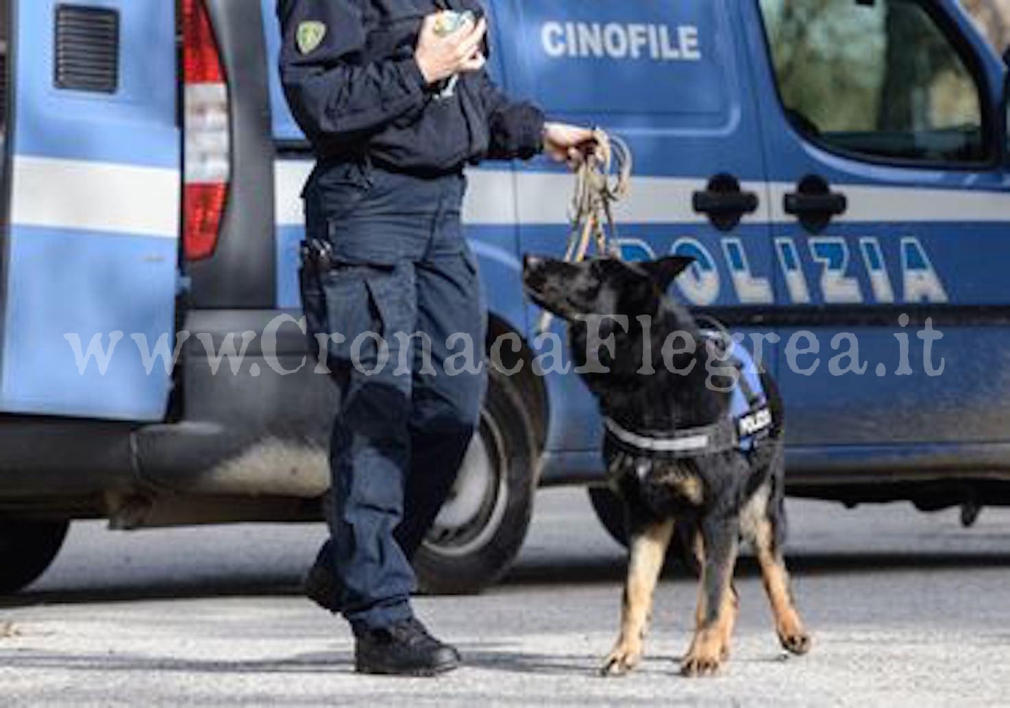 POZZUOLI/ Blitz della polizia con cani anti-droga: 30enne arrestato ad Arco Felice