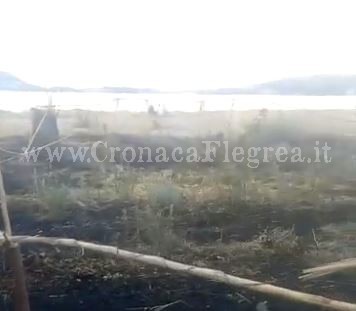 POZZUOLI/ Incendio devasta il “Forest Garden” nell’ex convitto Monachelle