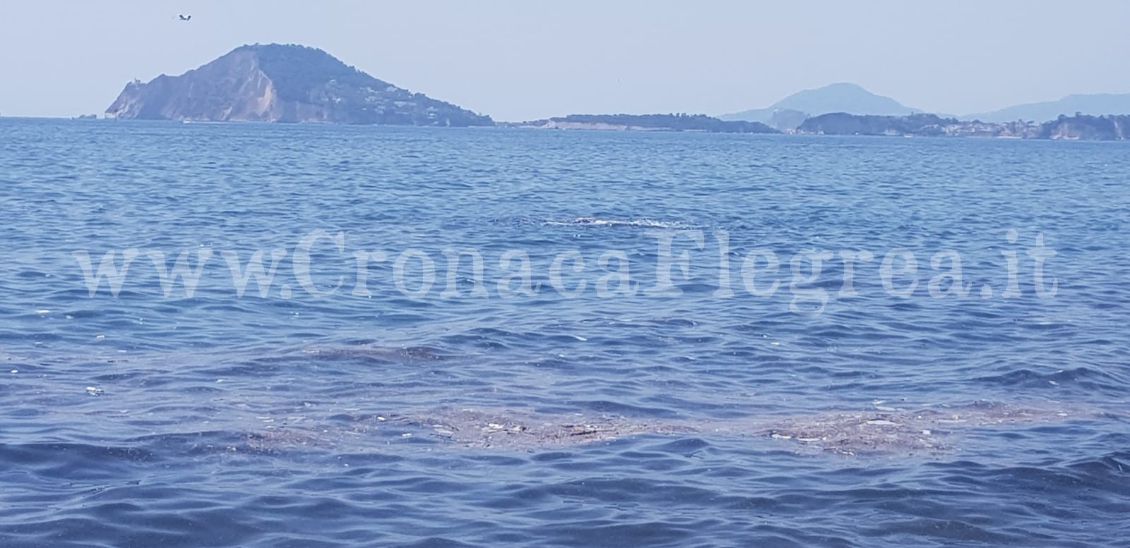 POZZUOLI/ Rifiuti e liquami in mare a via Napoli – LE FOTO