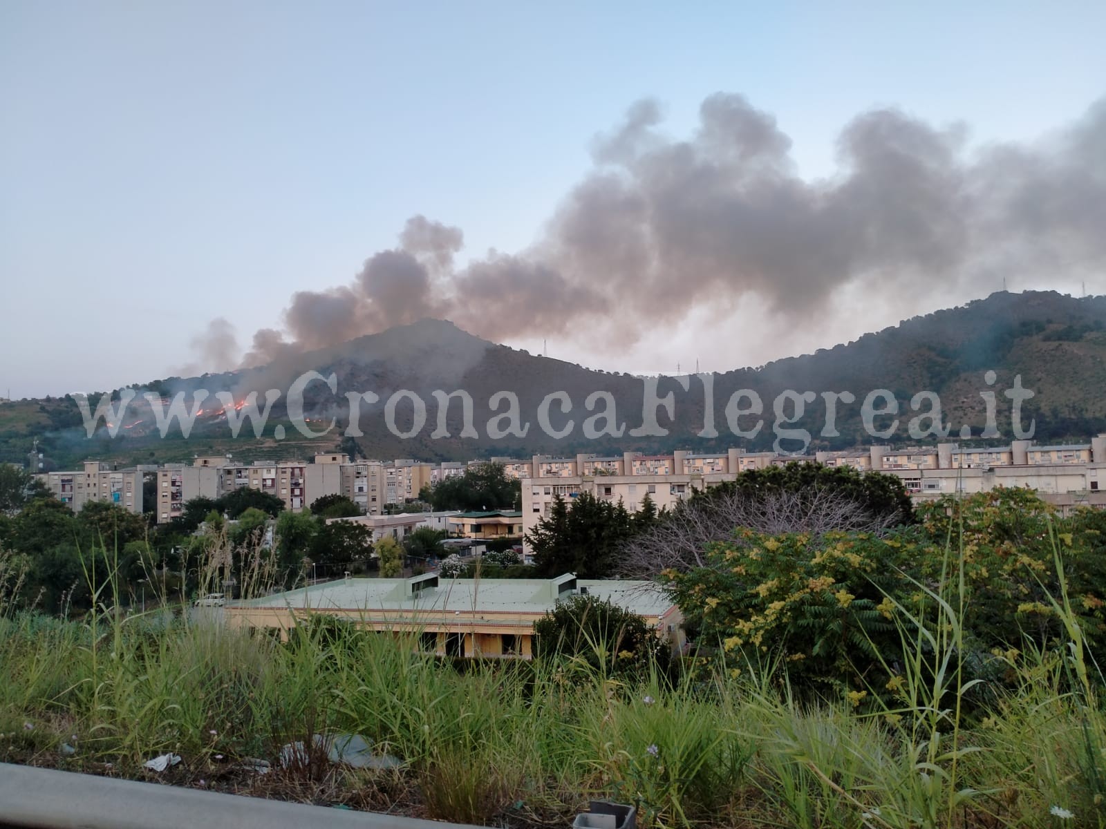 POZZUOLI/ Brucia il Monte Sant’Angelo, fumo e fiamme avvolgono la zona – LE FOTO