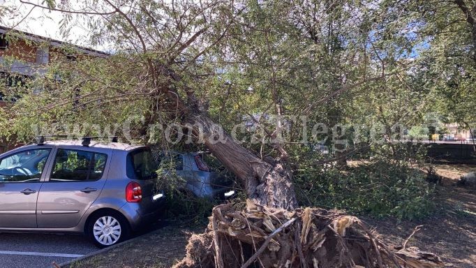 POZZUOLI/ Cade albero nel cortile di una scuola: danneggiate tre auto