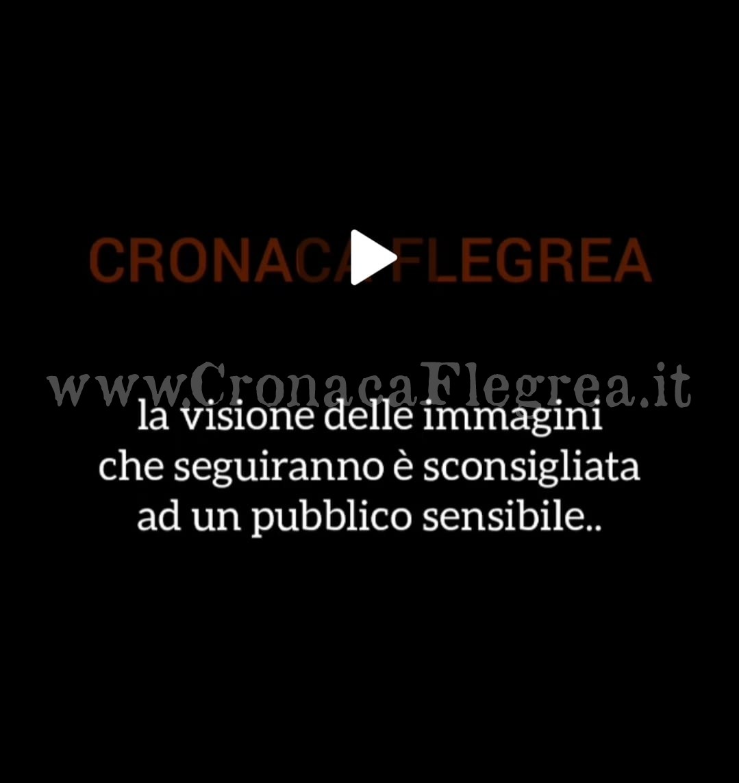 ESCLUSIVA/ Massacrata di botte in un negozio prima di essere accoltellata per un posto auto – IL VIDEO