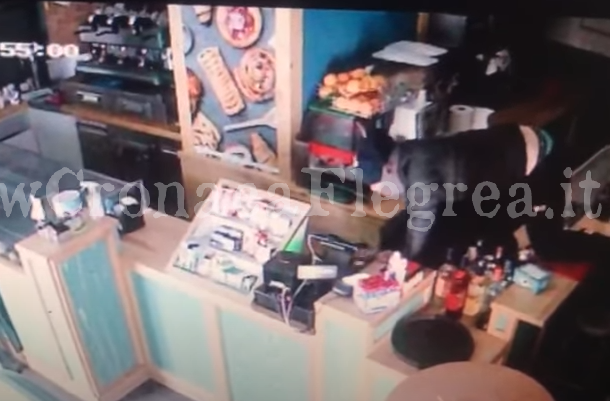 POZZUOLI/ Doppio assalto nel bar di Lucrino: ladro ripreso dalle telecamere – IL VIDEO