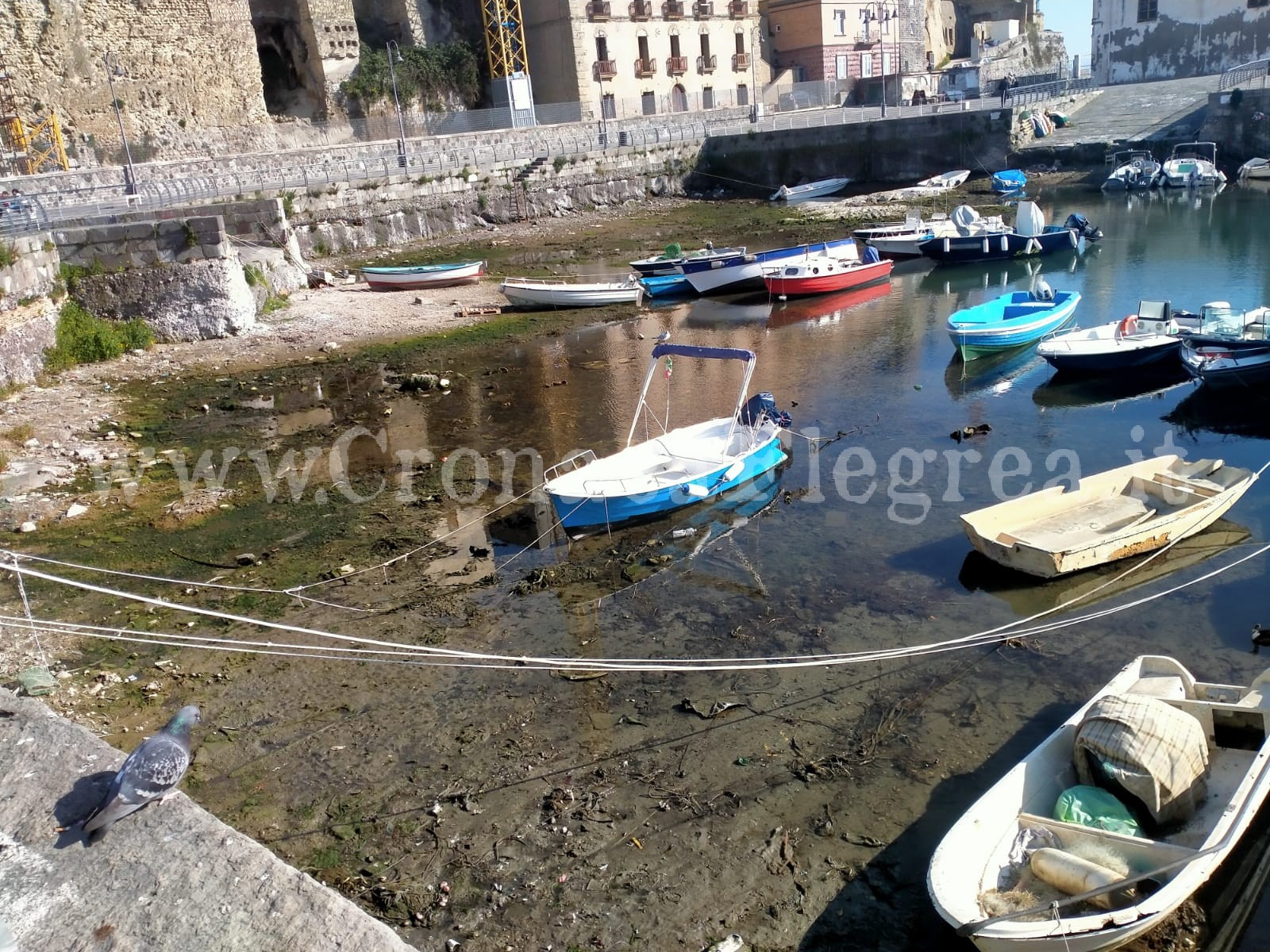 POZZUOLI/ Trentatré scosse in meno di 24 ore, prosciugata la Darsena