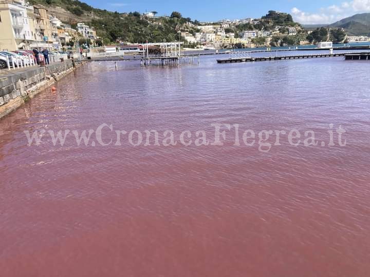 BACOLI/ A Baia il mare si tinge di rosso – LE FOTO