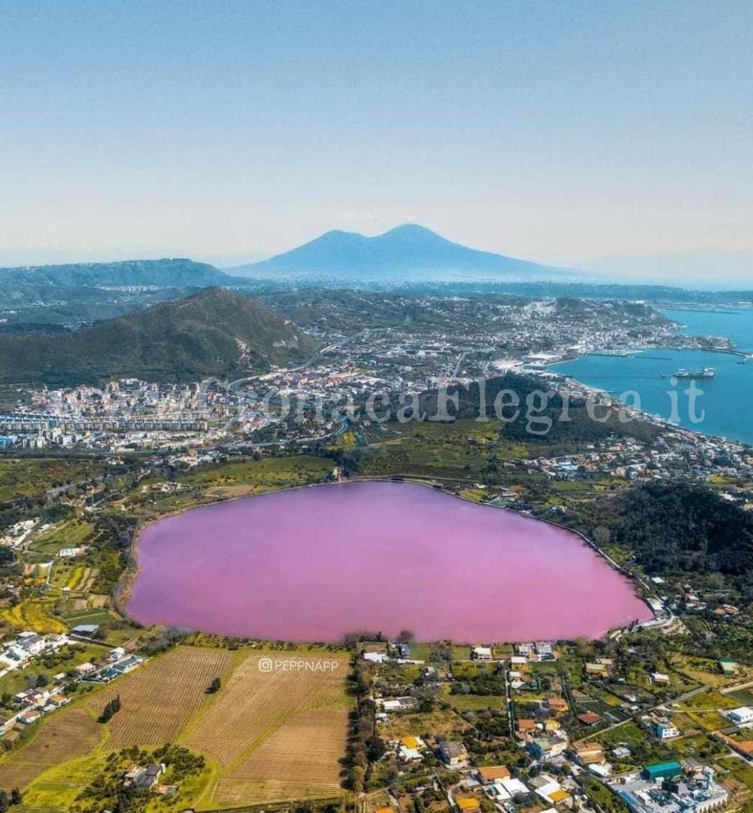 POZZUOLI/ Il lago d’Averno si tinge di rosa e l’immagine fa il giro del mondo