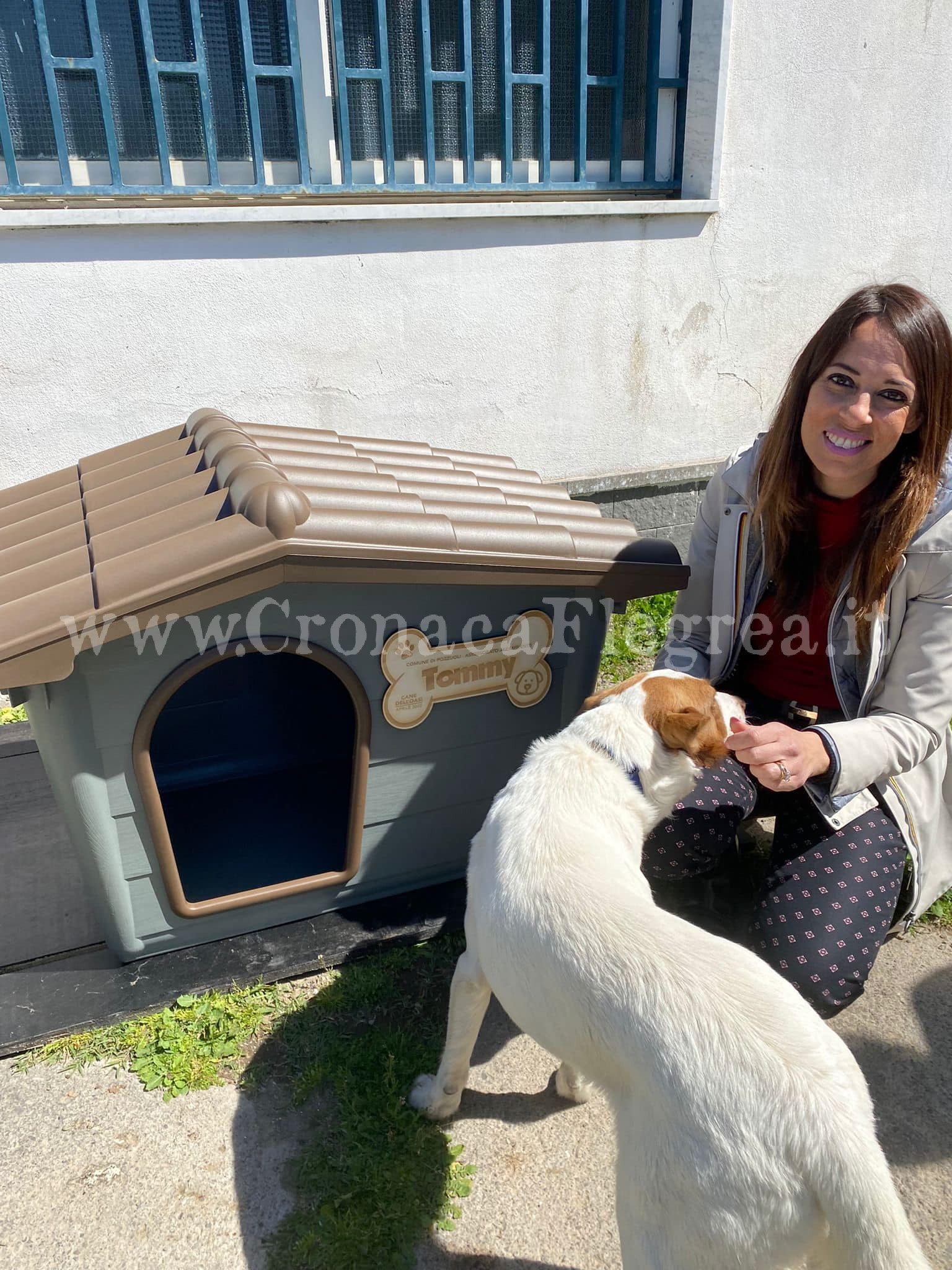 POZZUOLI/ Una cuccia per Tommy, il cane dell’oasi di Montenuovo