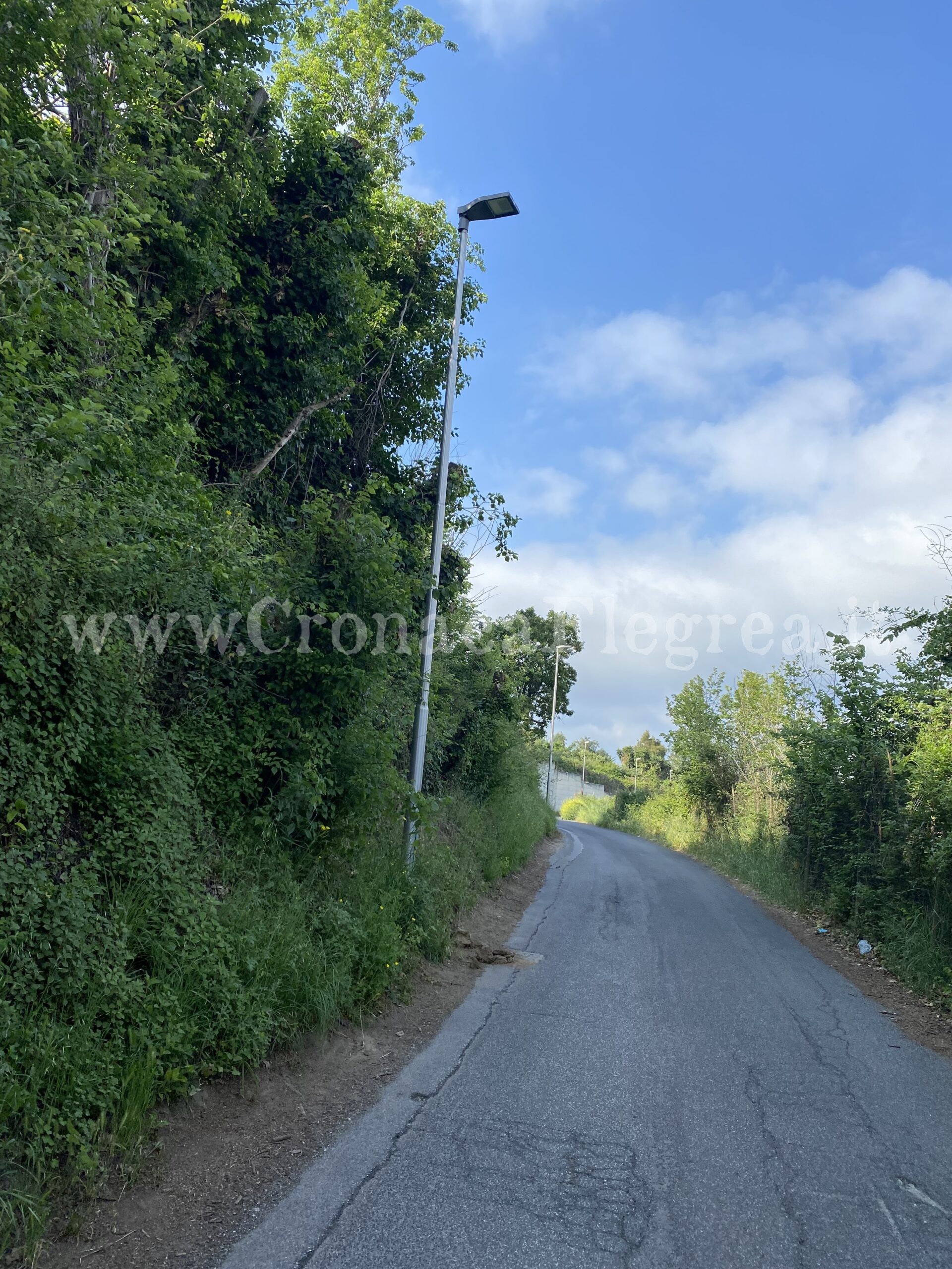 LA DENUNCIA/ «Sterpaglie in via Trepiccioni: un pericolo per la viabilità e la salute pubblica»