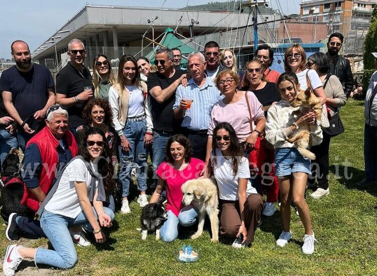 POZZUOLI/ La storia di «Biondo l’anarchico», il cane più amato dai puteolani