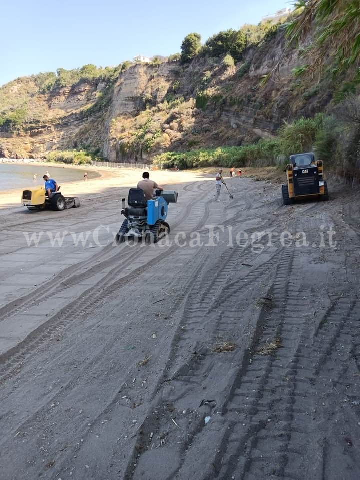 Incrementati i servizi di pulizia e raccolta rifiuti a Monte di Procida