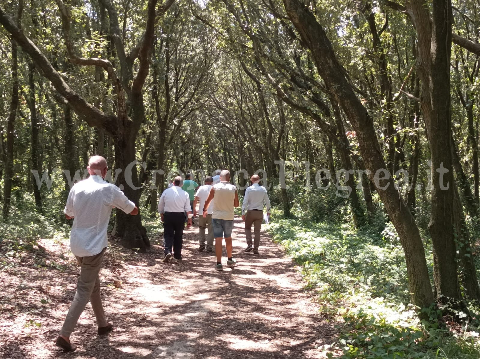 POZZUOLI/ Sopralluogo di Regione e Carabinieri nella Foresta di Cuma «Tutelare e rilanciare il sito»