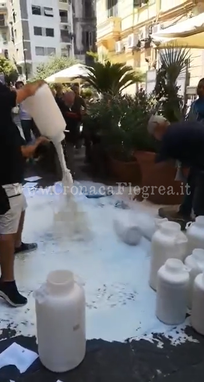 POZZUOLI/ Gli allevatori di bufale versano litri di latte fuori la sede della Regione