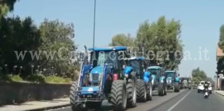 POZZUOLI/ Brucellosi, oltre 100 trattori in corteo verso Palazzo Santa Lucia