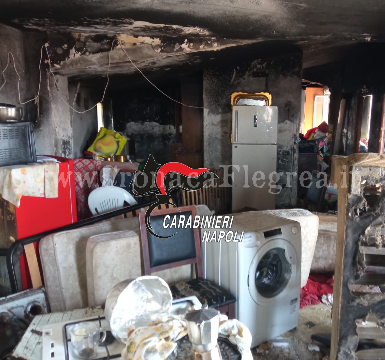 Rifiuti di ogni genere e 30 cani abbandonati in una casa a Varcaturo: denunciata una 50enne