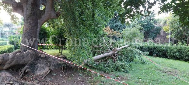 POZZUOLI/ «Un altro enorme ramo si è spezzato a Villa Avellino»