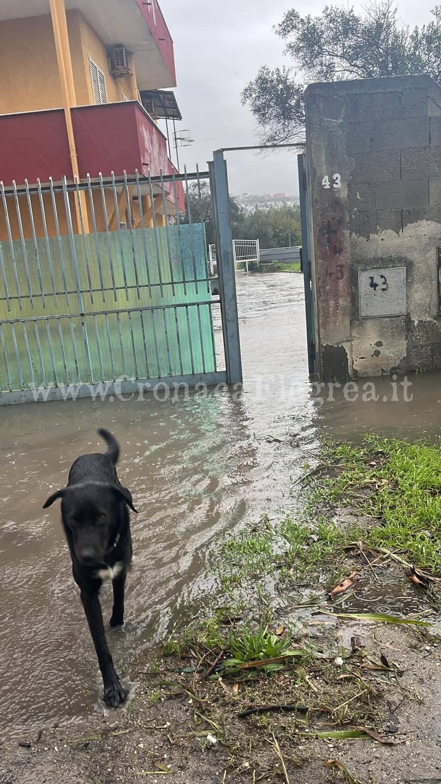 CAMPI FLEGREI/ Ancora maltempo, diramata una nuova allerta gialla