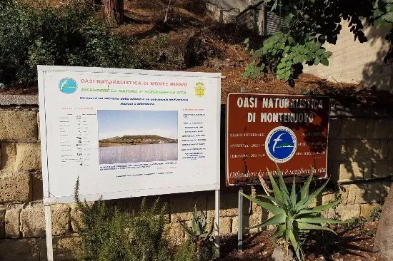 POZZUOLI/ Allerta meteo: il sindaco chiude cimitero, parchi e aree sgambamento cani