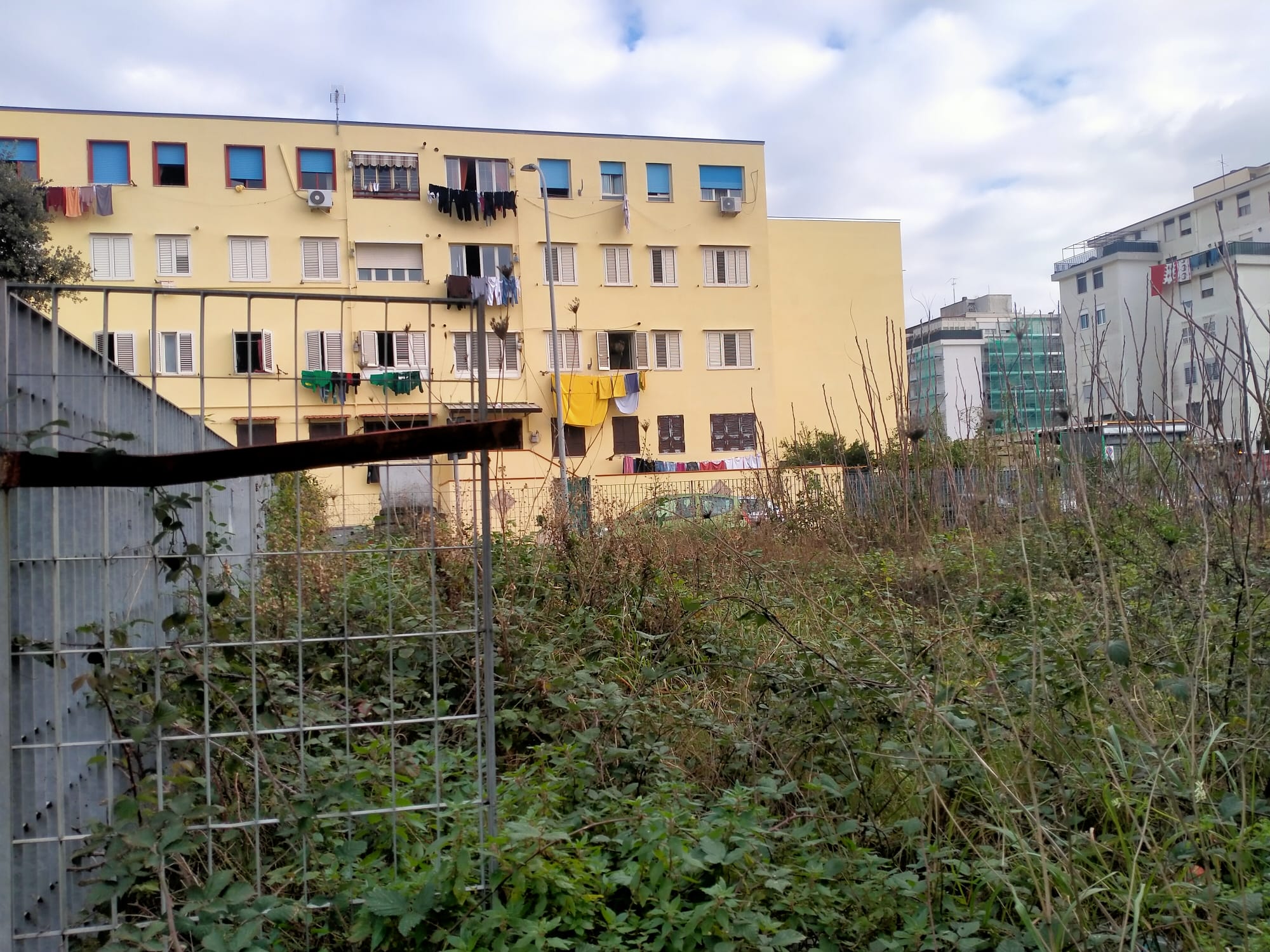 POZZUOLI/ «Sterpaglie e aiuole abbandonate: all’ufficio Giardini sono ancora in ferie?»