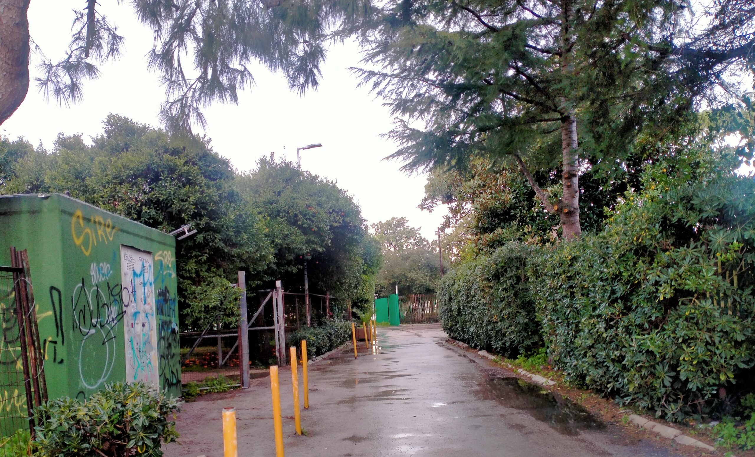 Vento forte a Pozzuoli chiusi parchi, cimitero e area sgambamento cani