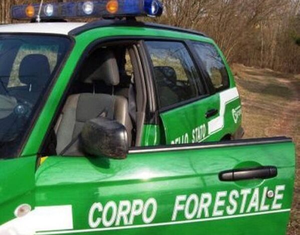 Gestione illecita dei rifiuti, denunciato un 60enne di Pozzuoli