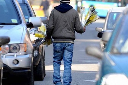 POZZUOLI/ Appello contro i venditori abusivi di mimose «Vanno fermati»