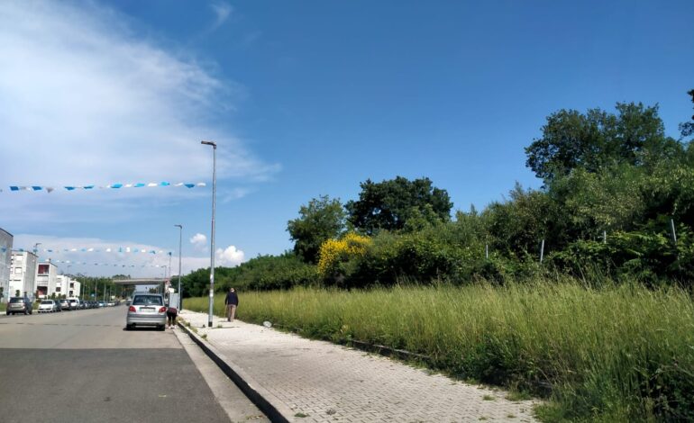 POZZUOLI/ Ufficio giardini in affanno, il Comune ricorre ancora a una ditta privata