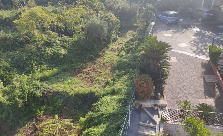 POZZUOLI/ La denuncia: «A causa di questo terreno abbandonato un bambino è costretto ad andare in ospedale» – LE FOTO