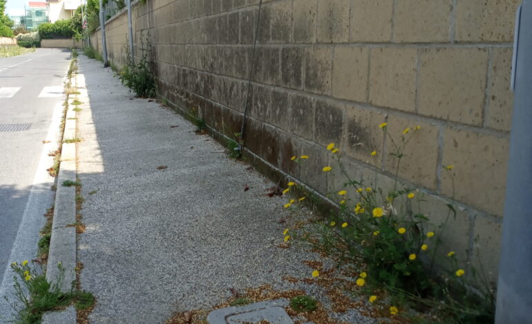 I LETTORI SEGNALANO/ «Condizioni vergognose in via Pagano a Monterusciello»