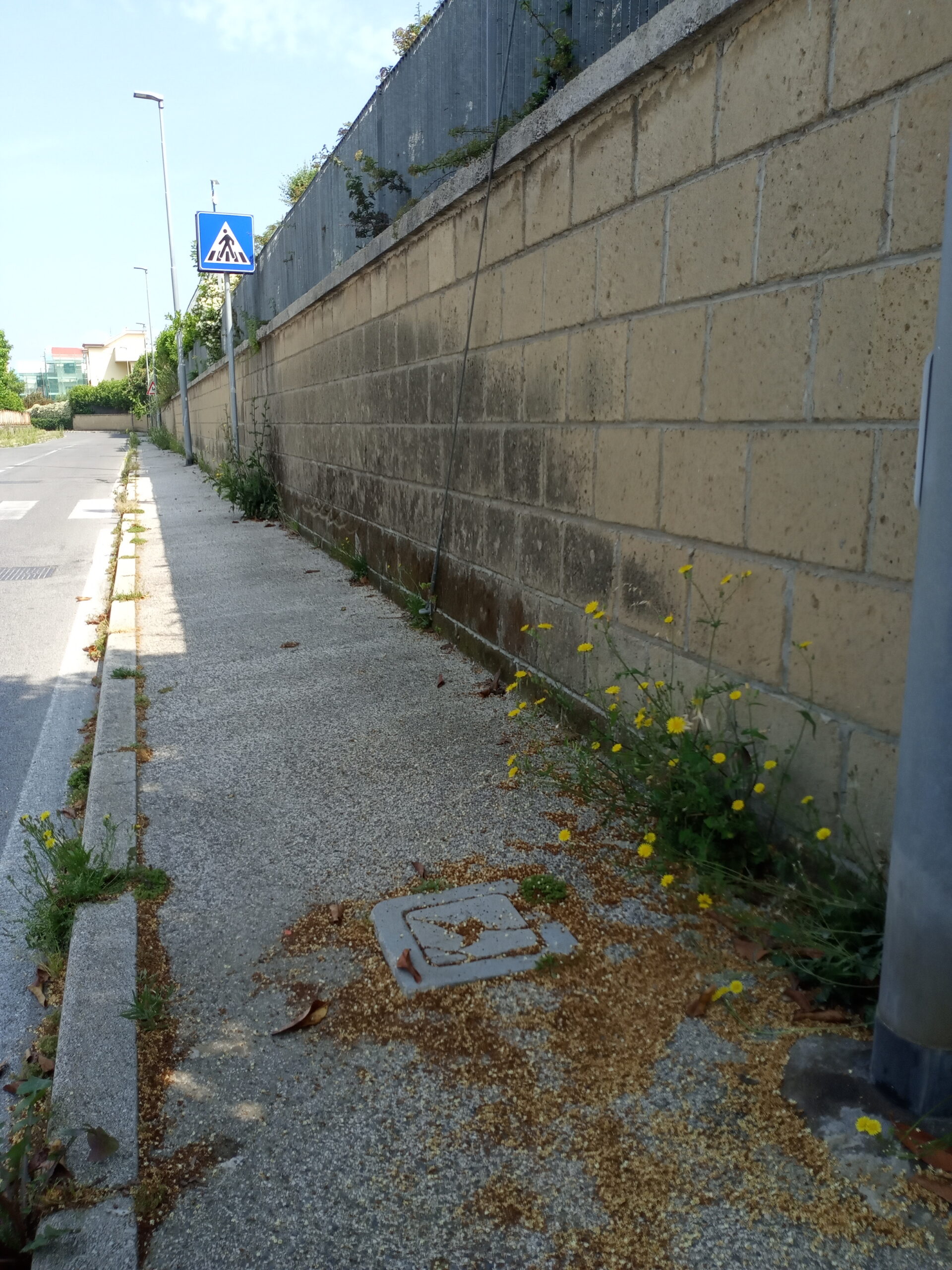 I LETTORI SEGNALANO/ «Condizioni vergognose in via Pagano a Monterusciello»