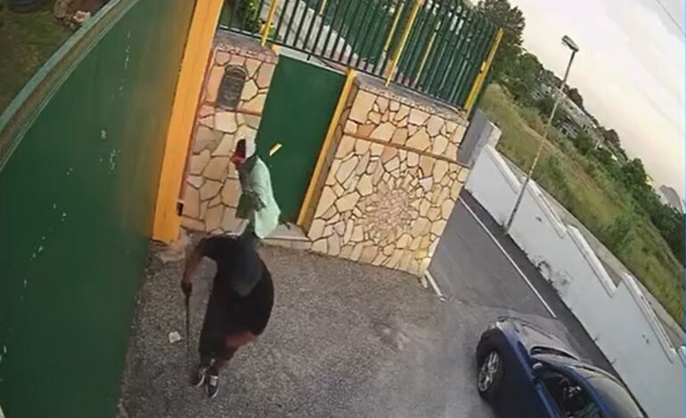 POZZUOLI/ Tentano furto in una villa, messi in fuga dalle urla della proprietaria – IL VIDEO