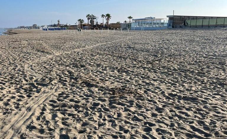 POZZUOLI/ Uomini e mezzi in azione: ripulite le spiagge di Licola, Monachelle, via Napoli e La Pietra – LE FOTO